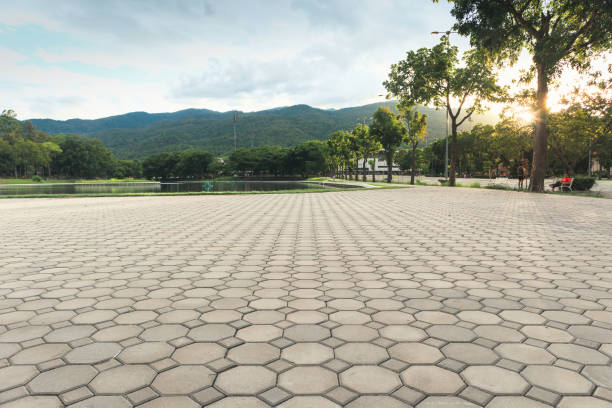 Best Custom Driveway Pavers  in Leisure World, MD
